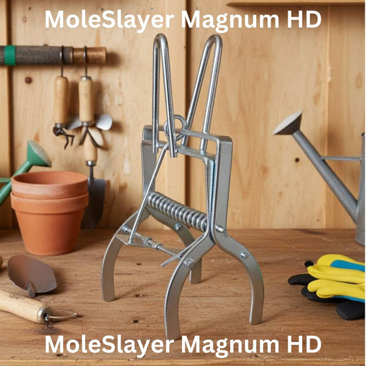 MoleSlayer Magnum HD Mole Trap w/ Setting Handles