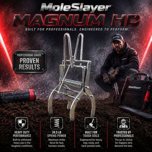MoleSlayer Magnum HD Mole Trap w/ Setting Handles